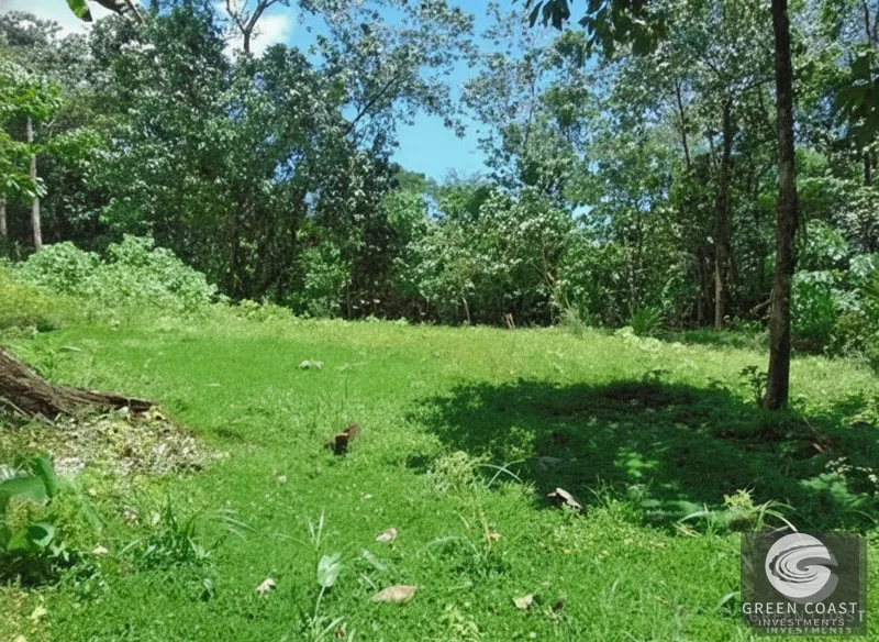 Osa Peninsula Rainforest Farm: Waterfall, 2 Homes, Restaurant & Teak Plantation — view 18, Chacarita, San José, Costa Rica