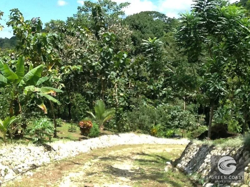 Osa Peninsula Rainforest Farm: Waterfall, 2 Homes, Restaurant & Teak Plantation — view 24, Chacarita, San José, Costa Rica