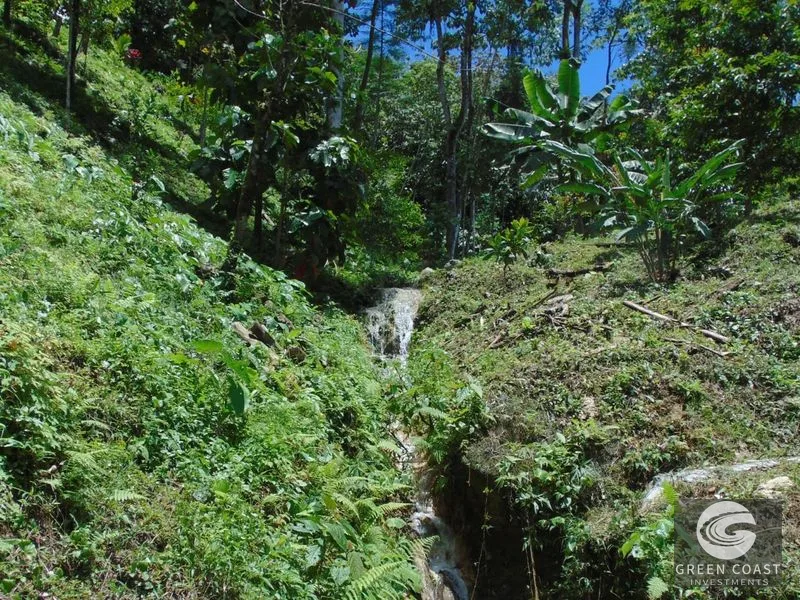 Osa Peninsula Rainforest Farm: Waterfall, 2 Homes, Restaurant & Teak Plantation — view 25, Chacarita, San José, Costa Rica