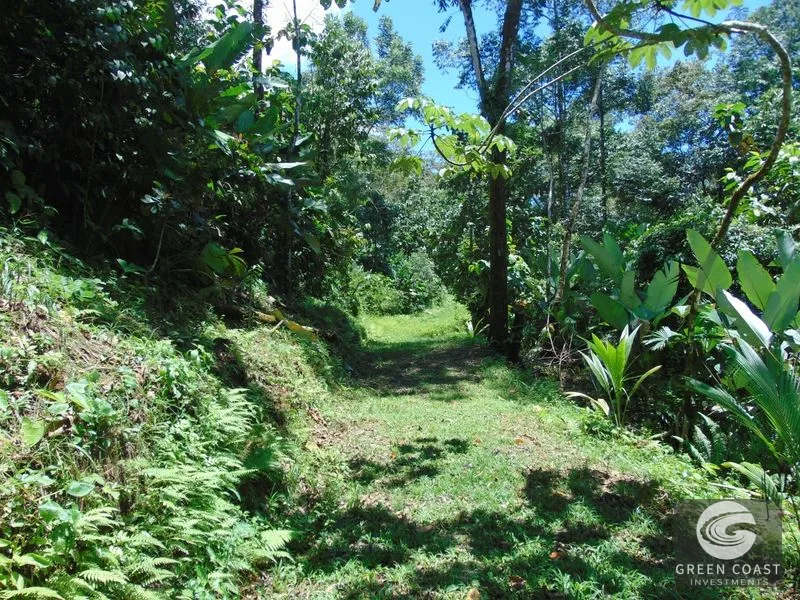 Osa Peninsula Rainforest Farm: Waterfall, 2 Homes, Restaurant & Teak Plantation — view 26, Chacarita, San José, Costa Rica