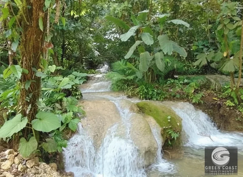 Osa Peninsula Rainforest Farm: Waterfall, 2 Homes, Restaurant & Teak Plantation — view 27, Chacarita, San José, Costa Rica