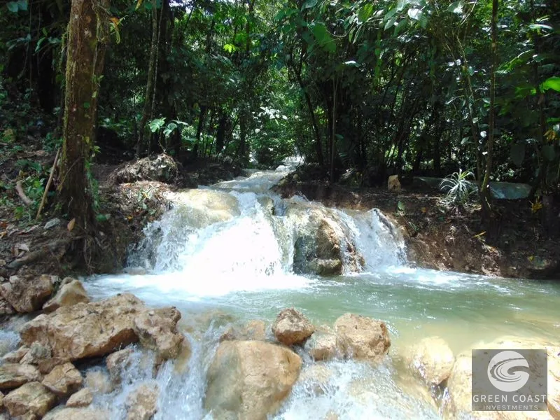 Osa Peninsula Rainforest Farm: Waterfall, 2 Homes, Restaurant & Teak Plantation — view 28, Chacarita, San José, Costa Rica