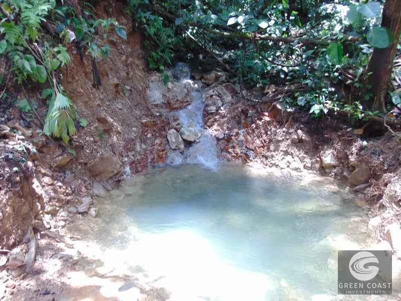 Osa Peninsula Rainforest Farm: Waterfall, 2 Homes, Restaurant & Teak Plantation — view 29, Chacarita, San José, Costa Rica