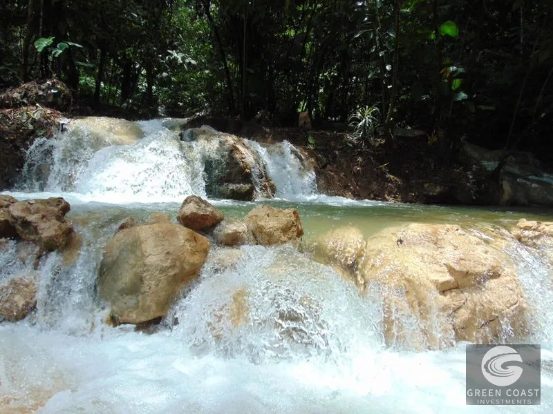 Osa Peninsula Rainforest Farm: Waterfall, 2 Homes, Restaurant & Teak Plantation — view 30, Chacarita, San José, Costa Rica