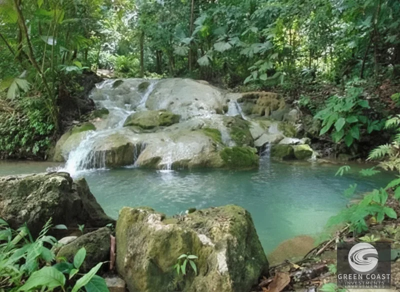 Osa Peninsula Rainforest Farm: Waterfall, 2 Homes, Restaurant & Teak Plantation — view 32, Chacarita, San José, Costa Rica