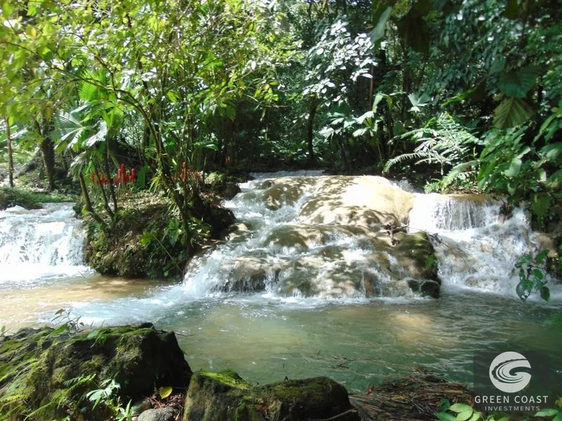 Osa Peninsula Rainforest Farm: Waterfall, 2 Homes, Restaurant & Teak Plantation — view 33, Chacarita, San José, Costa Rica