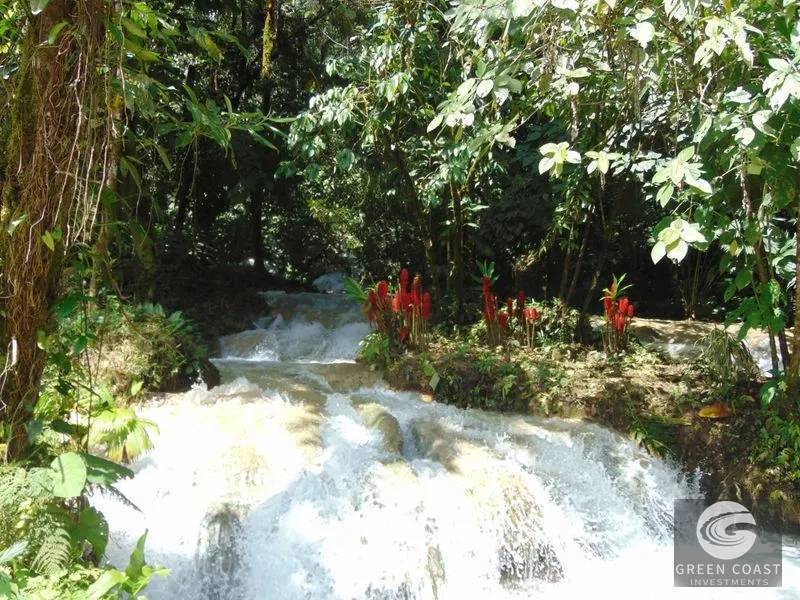 Osa Peninsula Rainforest Farm: Waterfall, 2 Homes, Restaurant & Teak Plantation — view 34, Chacarita, San José, Costa Rica