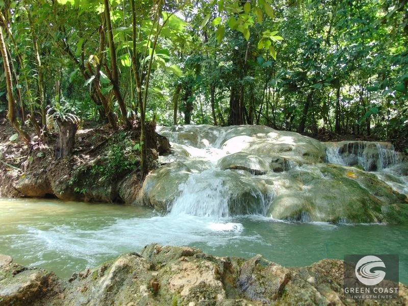 Osa Peninsula Rainforest Farm: Waterfall, 2 Homes, Restaurant & Teak Plantation — view 35, Chacarita, San José, Costa Rica