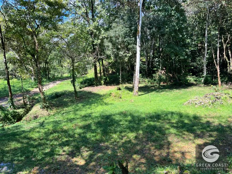 Prime 1,914 m² Flat Lot in Tortuga Near Ojochal – Build Your Dream Home! — view 3, Bahia Ballena, Costa Rica