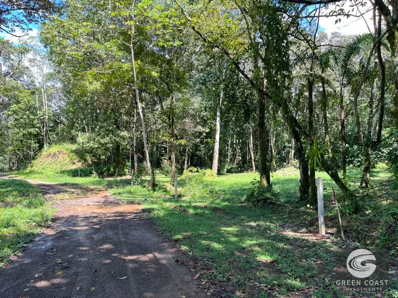 Prime 1,914 m² Flat Lot in Tortuga Near Ojochal – Build Your Dream Home! — view 4, Bahia Ballena, Costa Rica
