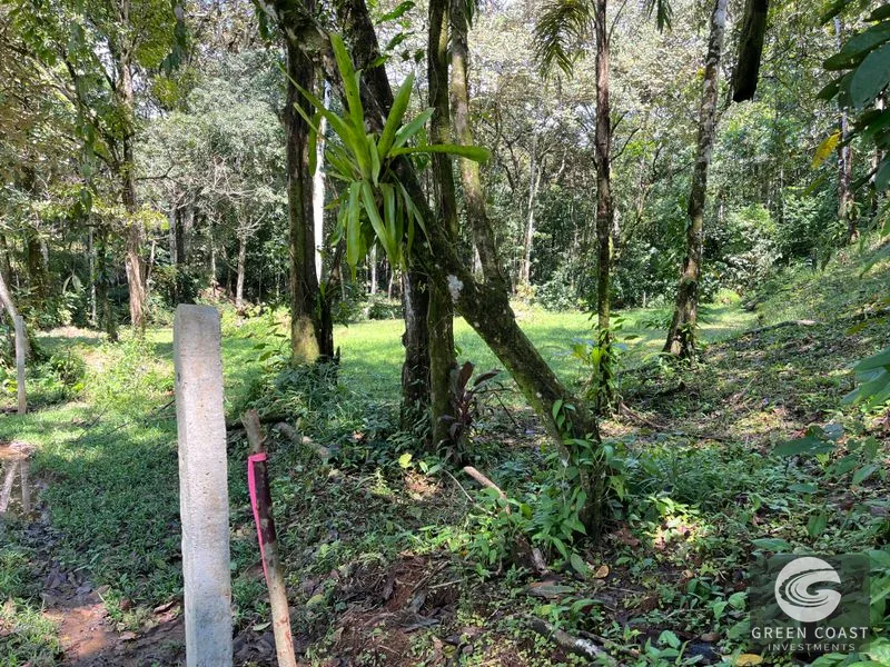 Prime 1,914 m² Flat Lot in Tortuga Near Ojochal – Build Your Dream Home! — view 5, Bahia Ballena, Costa Rica