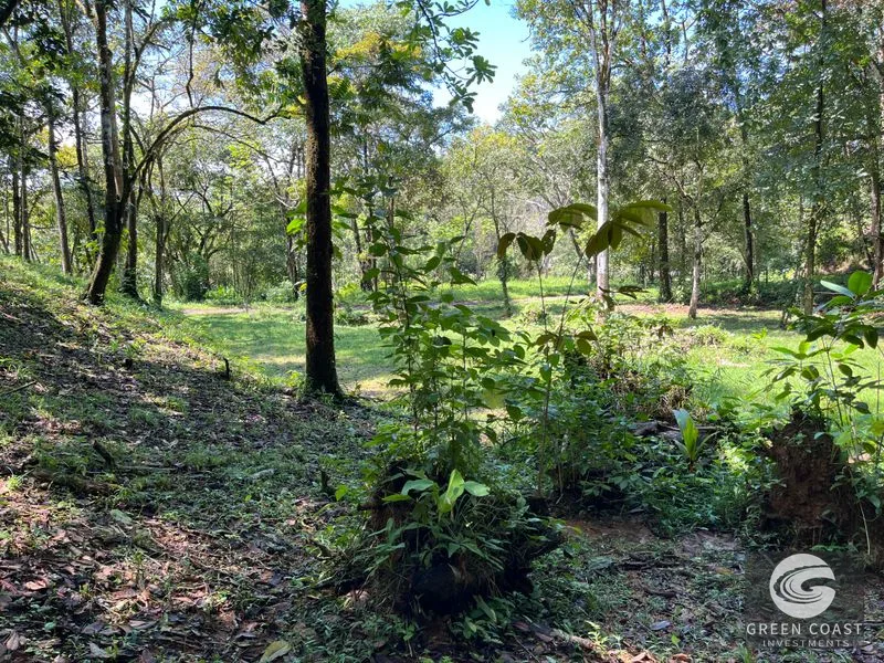Prime 1,914 m² Flat Lot in Tortuga Near Ojochal – Build Your Dream Home! — view 7, Bahia Ballena, Costa Rica