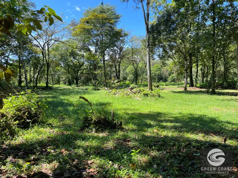 Prime 1,914 m² Flat Lot in Tortuga Near Ojochal – Build Your Dream Home! — view 8, Bahia Ballena, Costa Rica