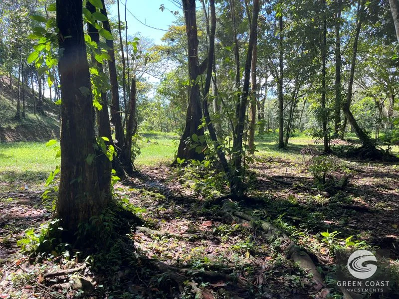 Prime 1,914 m² Flat Lot in Tortuga Near Ojochal – Build Your Dream Home! — view 10, Bahia Ballena, Costa Rica