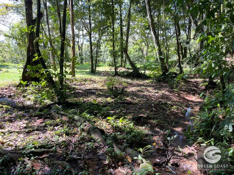 Prime 1,914 m² Flat Lot in Tortuga Near Ojochal – Build Your Dream Home! — view 11, Bahia Ballena, Costa Rica