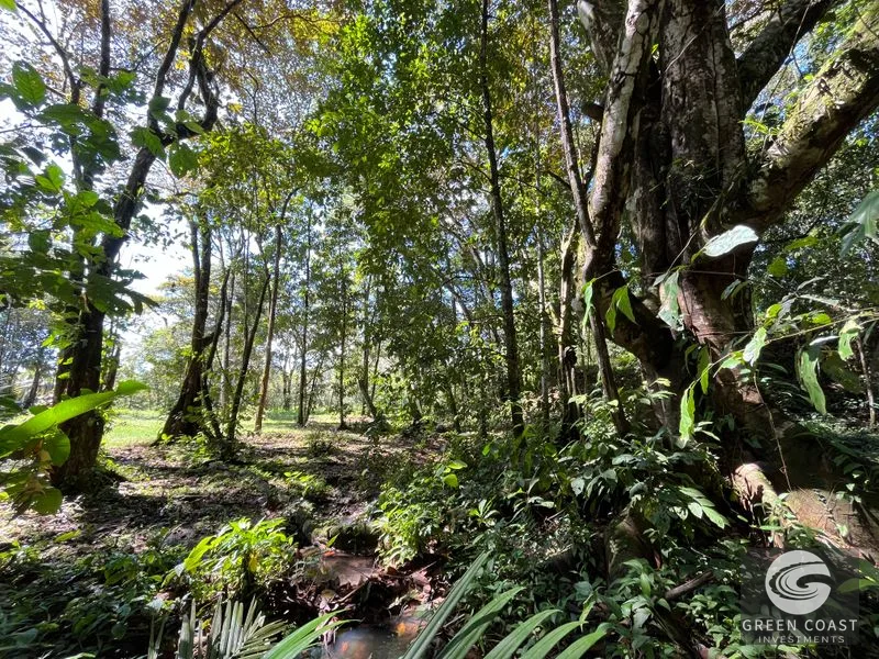Prime 1,914 m² Flat Lot in Tortuga Near Ojochal – Build Your Dream Home! — view 13, Bahia Ballena, Costa Rica