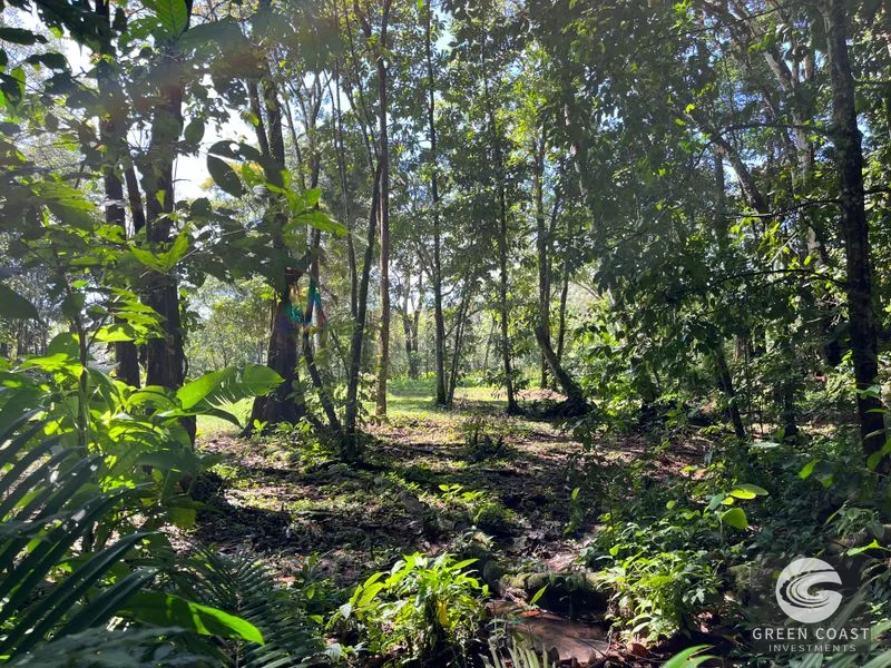 Prime 1,914 m² Flat Lot in Tortuga Near Ojochal – Build Your Dream Home! — view 14, Bahia Ballena, Costa Rica