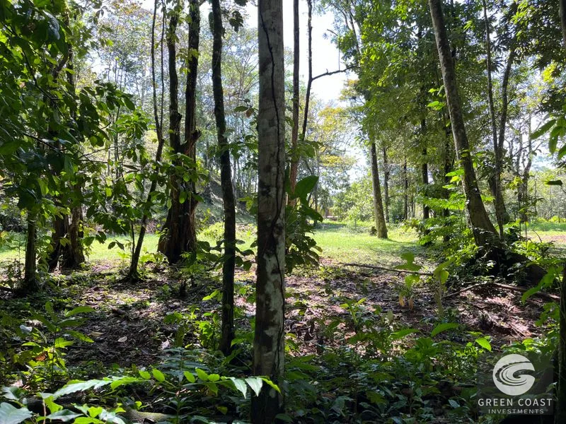 Prime 1,914 m² Flat Lot in Tortuga Near Ojochal – Build Your Dream Home! — view 15, Bahia Ballena, Costa Rica