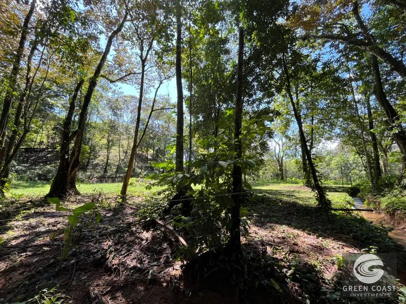 Prime 1,914 m² Flat Lot in Tortuga Near Ojochal – Build Your Dream Home! — view 16, Bahia Ballena, Costa Rica