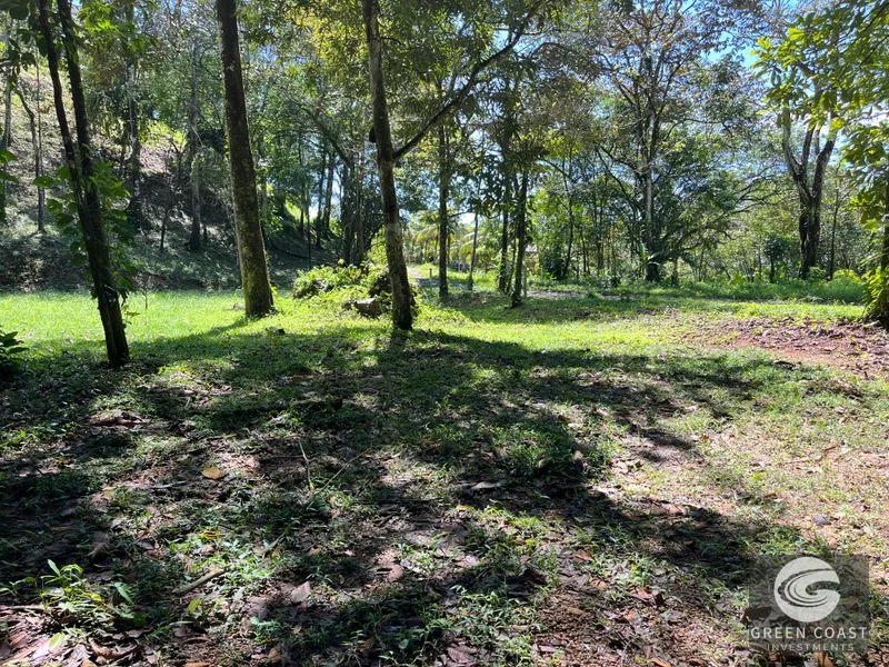 Prime 1,914 m² Flat Lot in Tortuga Near Ojochal – Build Your Dream Home! — view 17, Bahia Ballena, Costa Rica