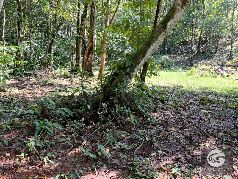 Prime 1,914 m² Flat Lot in Tortuga Near Ojochal – Build Your Dream Home! — view 18, Bahia Ballena, Costa Rica