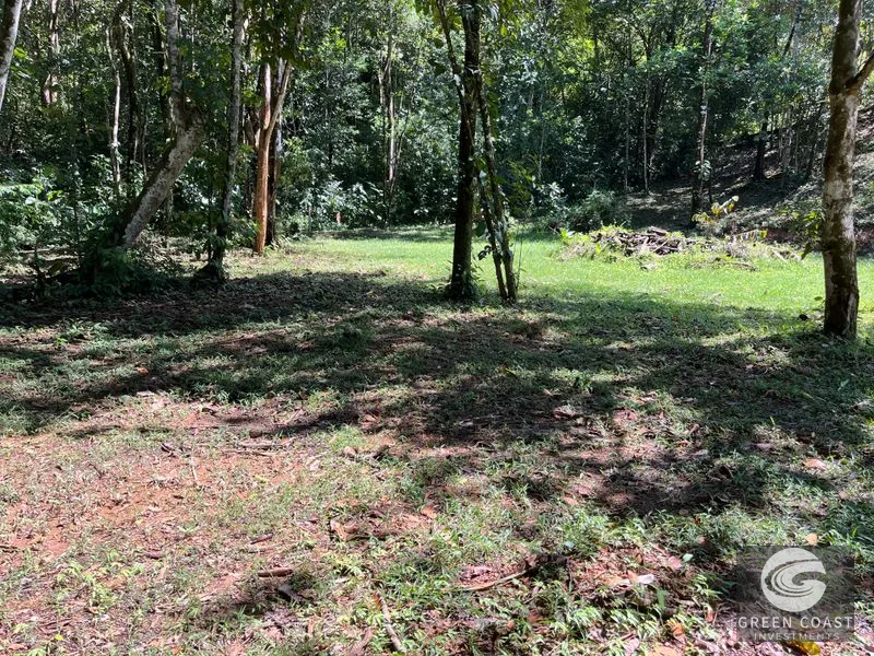 Prime 1,914 m² Flat Lot in Tortuga Near Ojochal – Build Your Dream Home! — view 19, Bahia Ballena, Costa Rica