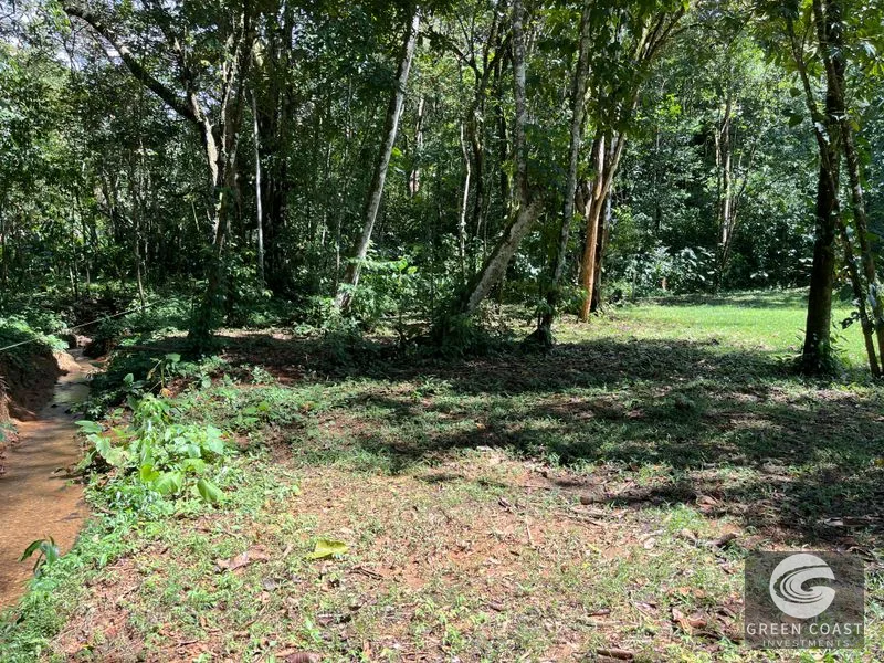 Prime 1,914 m² Flat Lot in Tortuga Near Ojochal – Build Your Dream Home! — view 20, Bahia Ballena, Costa Rica