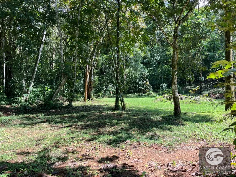 Prime 1,914 m² Flat Lot in Tortuga Near Ojochal – Build Your Dream Home! — view 21, Bahia Ballena, Costa Rica