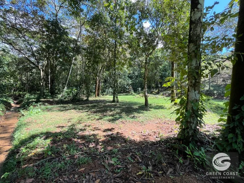 Prime 1,914 m² Flat Lot in Tortuga Near Ojochal – Build Your Dream Home! — view 22, Bahia Ballena, Costa Rica
