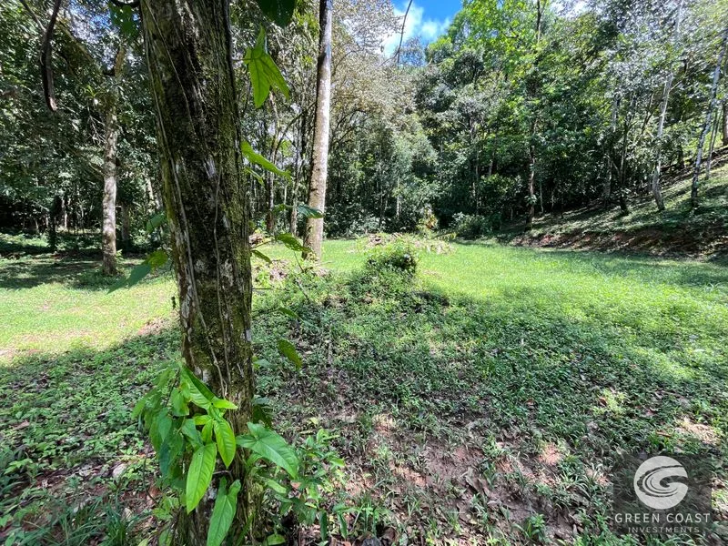 Prime 1,914 m² Flat Lot in Tortuga Near Ojochal – Build Your Dream Home! — view 23, Bahia Ballena, Costa Rica