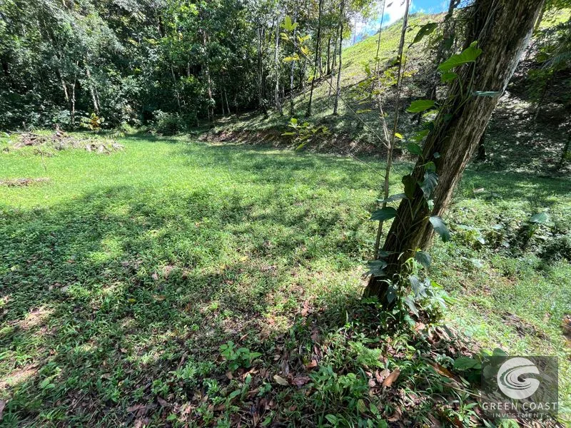 Prime 1,914 m² Flat Lot in Tortuga Near Ojochal – Build Your Dream Home! — view 26, Bahia Ballena, Costa Rica