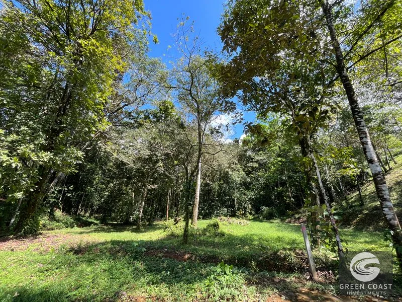 Prime 1,914 m² Flat Lot in Tortuga Near Ojochal – Build Your Dream Home! — view 27, Bahia Ballena, Costa Rica