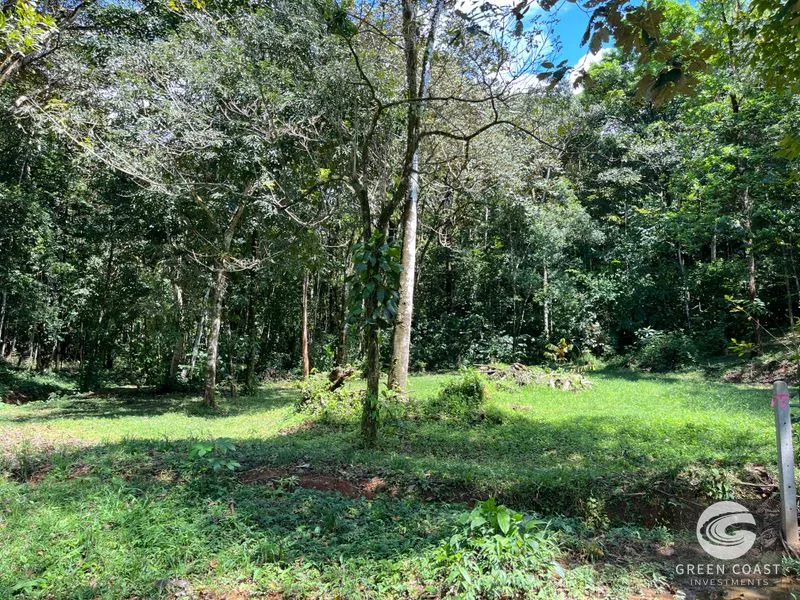 Prime 1,914 m² Flat Lot in Tortuga Near Ojochal – Build Your Dream Home! — view 28, Bahia Ballena, Costa Rica