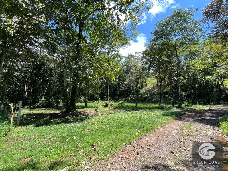 Prime 1,914 m² Flat Lot in Tortuga Near Ojochal – Build Your Dream Home! — view 29, Bahia Ballena, Costa Rica