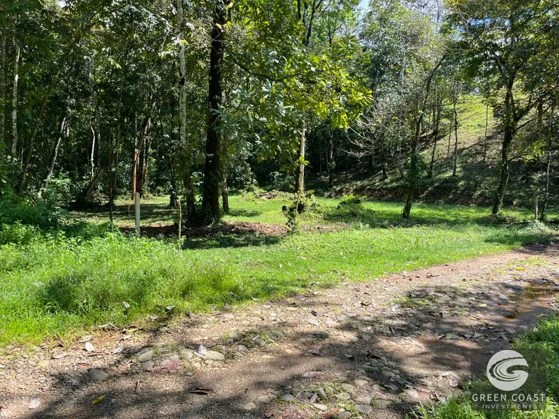 Prime 1,914 m² Flat Lot in Tortuga Near Ojochal – Build Your Dream Home! — view 30, Bahia Ballena, Costa Rica