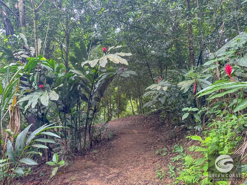 Breathtaking 210 Foot Waterfall on Over 200 Acres of Land in the Lush Hills & Mountains of Perez Zeledon – with SO MANY Additional Development Options! — view 2