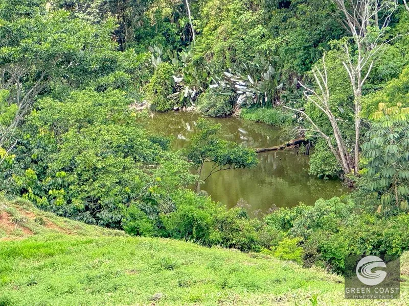 Breathtaking 210 Foot Waterfall on Over 200 Acres of Land in the Lush Hills & Mountains of Perez Zeledon – with SO MANY Additional Development Options! — view 3
