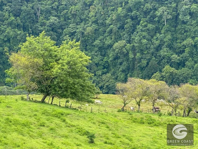 Breathtaking 210 Foot Waterfall on Over 200 Acres of Land in the Lush Hills & Mountains of Perez Zeledon – with SO MANY Additional Development Options! — view 4