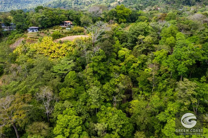 Iconic Whale's Tail Estate: 10-Acre Oceanfront Sanctuary with Private Waterfall & Fruit Forest — view 23, Uvita, Uvita, Costa Rica