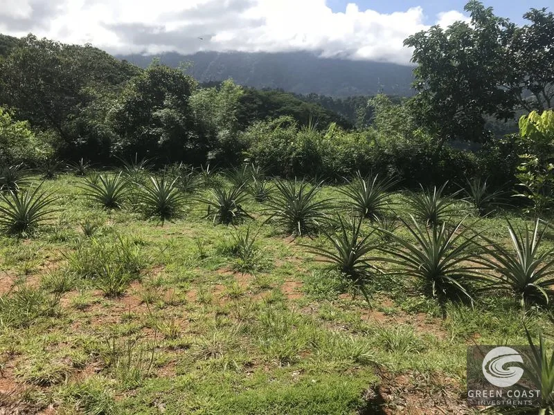 Luxury Mountain View Estate with Dual Pools, Waterslide & Income Potential - Platanillo — view 22, Platanillo, Platanillo, Costa Rica