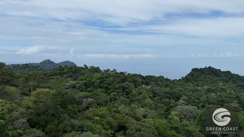 Shovel-Ready Luxury Hotel Development Site in Manuel Antonio – De-Risked Investment — view 11, Quepos, Costa Rica