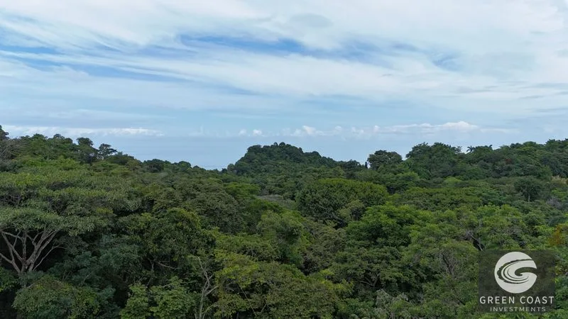 Shovel-Ready Luxury Hotel Development Site in Manuel Antonio – De-Risked Investment — view 13, Quepos, Costa Rica