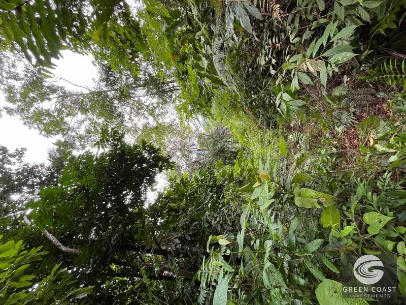 Rainforest Oasis Near Esquipulas Lodge: 61 Acres with Creek, Views & Utilities - Owner Financing! — view 1, Quepos, Quepos, Costa Rica