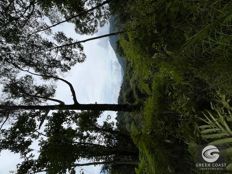 Rainforest Oasis Near Esquipulas Lodge: 61 Acres with Creek, Views & Utilities - Owner Financing! — view 2, Quepos, Quepos, Costa Rica