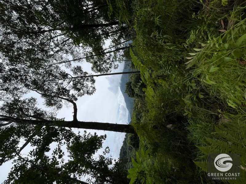 Rainforest Oasis Near Esquipulas Lodge: 61 Acres with Creek, Views & Utilities - Owner Financing! — view 3, Quepos, Quepos, Costa Rica