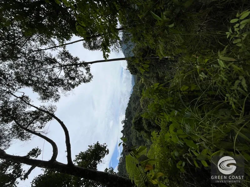 Rainforest Oasis Near Esquipulas Lodge: 61 Acres with Creek, Views & Utilities - Owner Financing! — view 4, Quepos, Quepos, Costa Rica