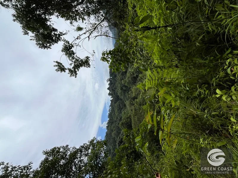 Rainforest Oasis Near Esquipulas Lodge: 61 Acres with Creek, Views & Utilities - Owner Financing! — view 5, Quepos, Quepos, Costa Rica