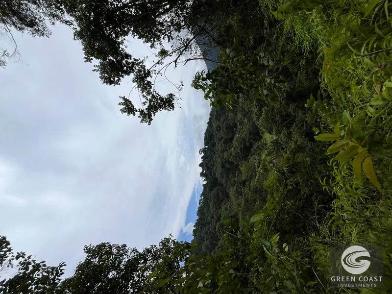 Rainforest Oasis Near Esquipulas Lodge: 61 Acres with Creek, Views & Utilities - Owner Financing! — view 6, Quepos, Quepos, Costa Rica