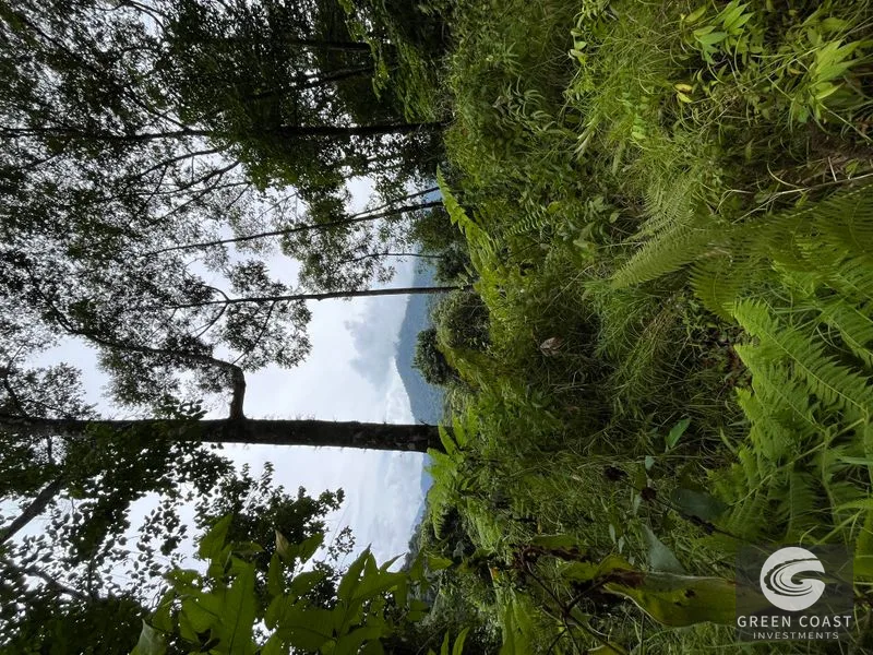 Rainforest Oasis Near Esquipulas Lodge: 61 Acres with Creek, Views & Utilities - Owner Financing! — view 7, Quepos, Quepos, Costa Rica