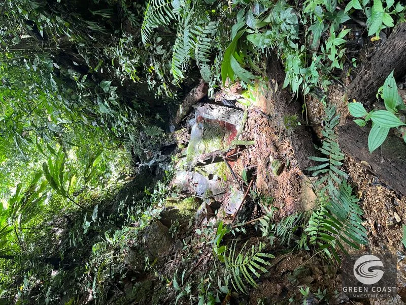 Rainforest Oasis Near Esquipulas Lodge: 61 Acres with Creek, Views & Utilities - Owner Financing! — view 8, Quepos, Quepos, Costa Rica